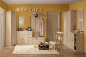 Набор мебели для прихожей Комфорт в Черлаке - cherlak.katalogmebeli.com | фото 1