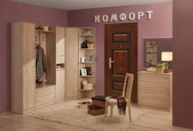 Набор мебели для прихожей Комфорт в Черлаке - cherlak.katalogmebeli.com | фото 2